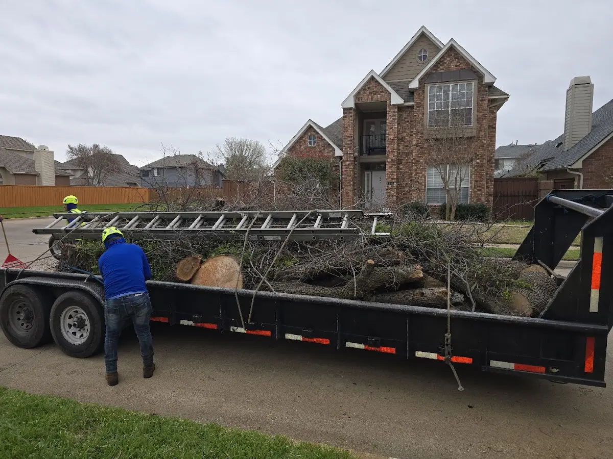 Expert Tree Fertilization with proper safety equipment in Madison Lake